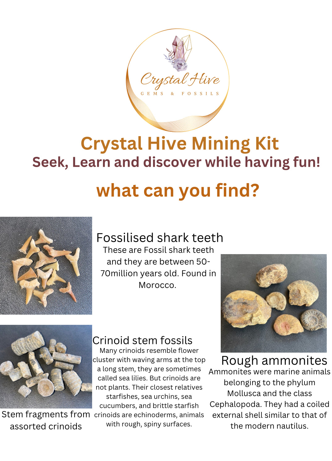 Crystal Hive mining kit.