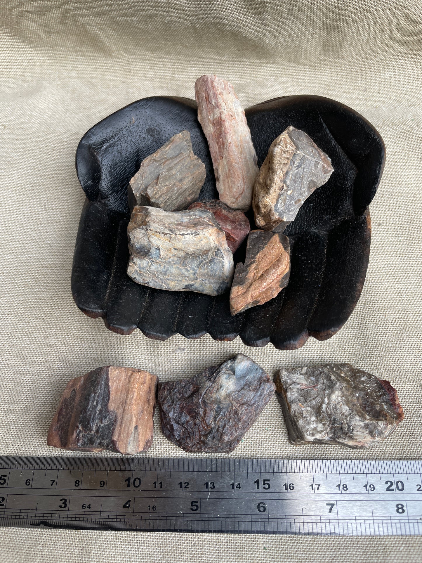 Petrified wood rough