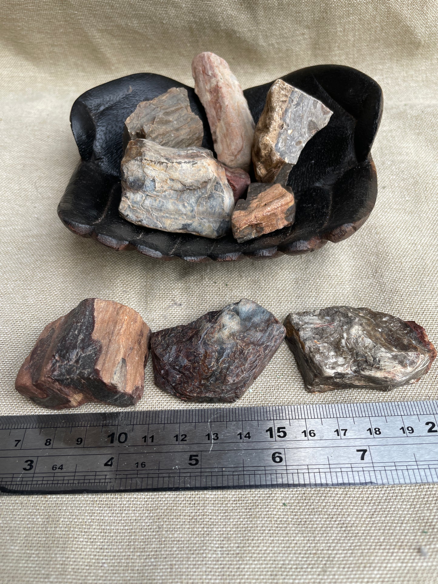 Petrified wood rough
