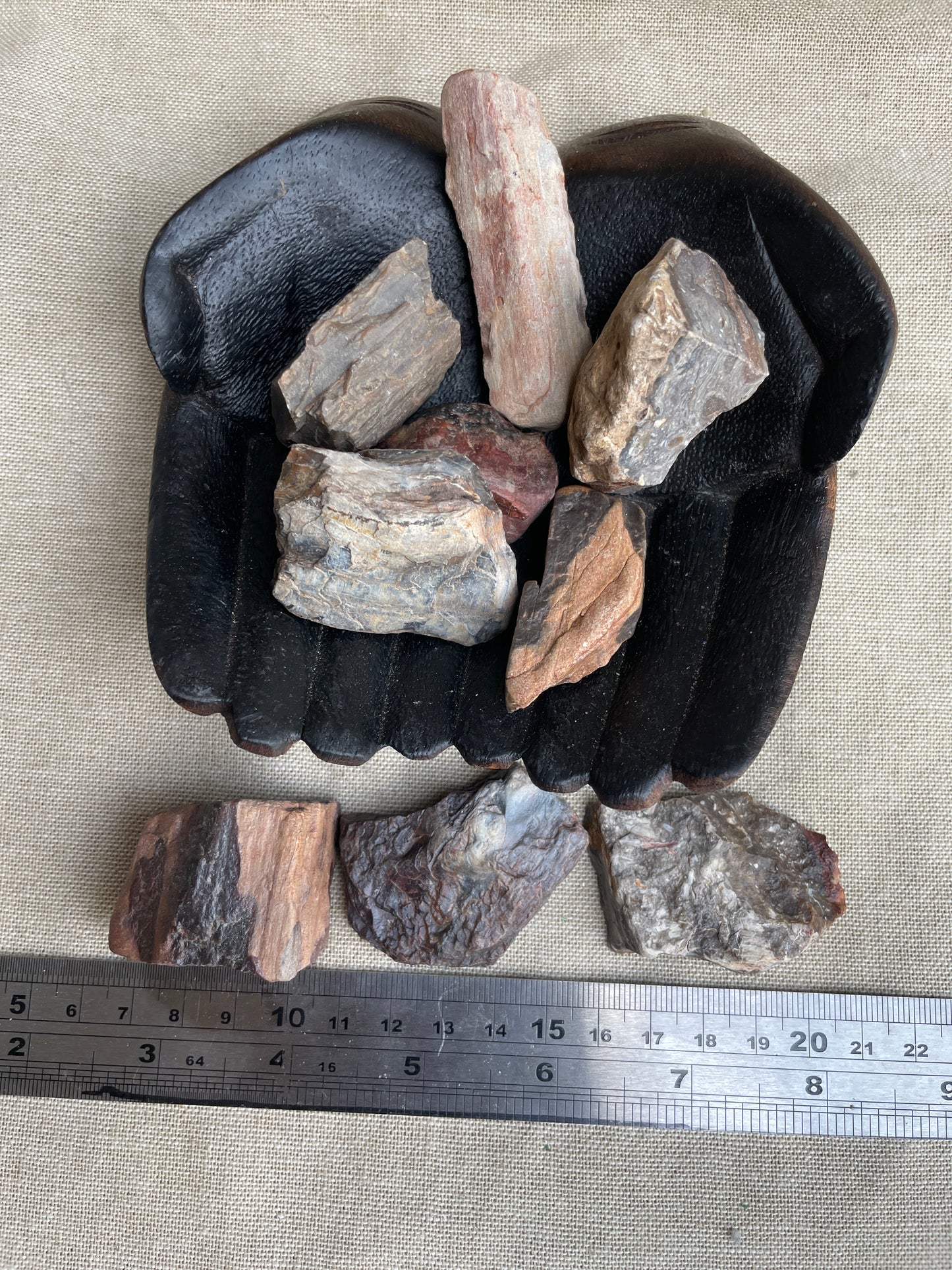 Petrified wood rough