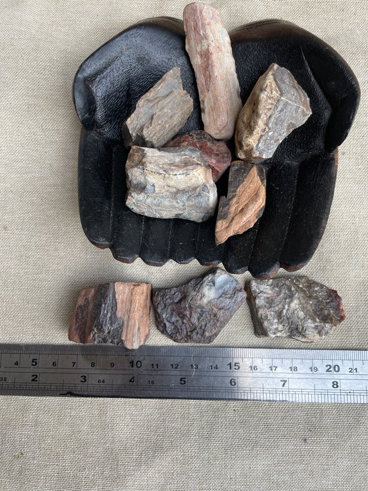 Petrified wood rough