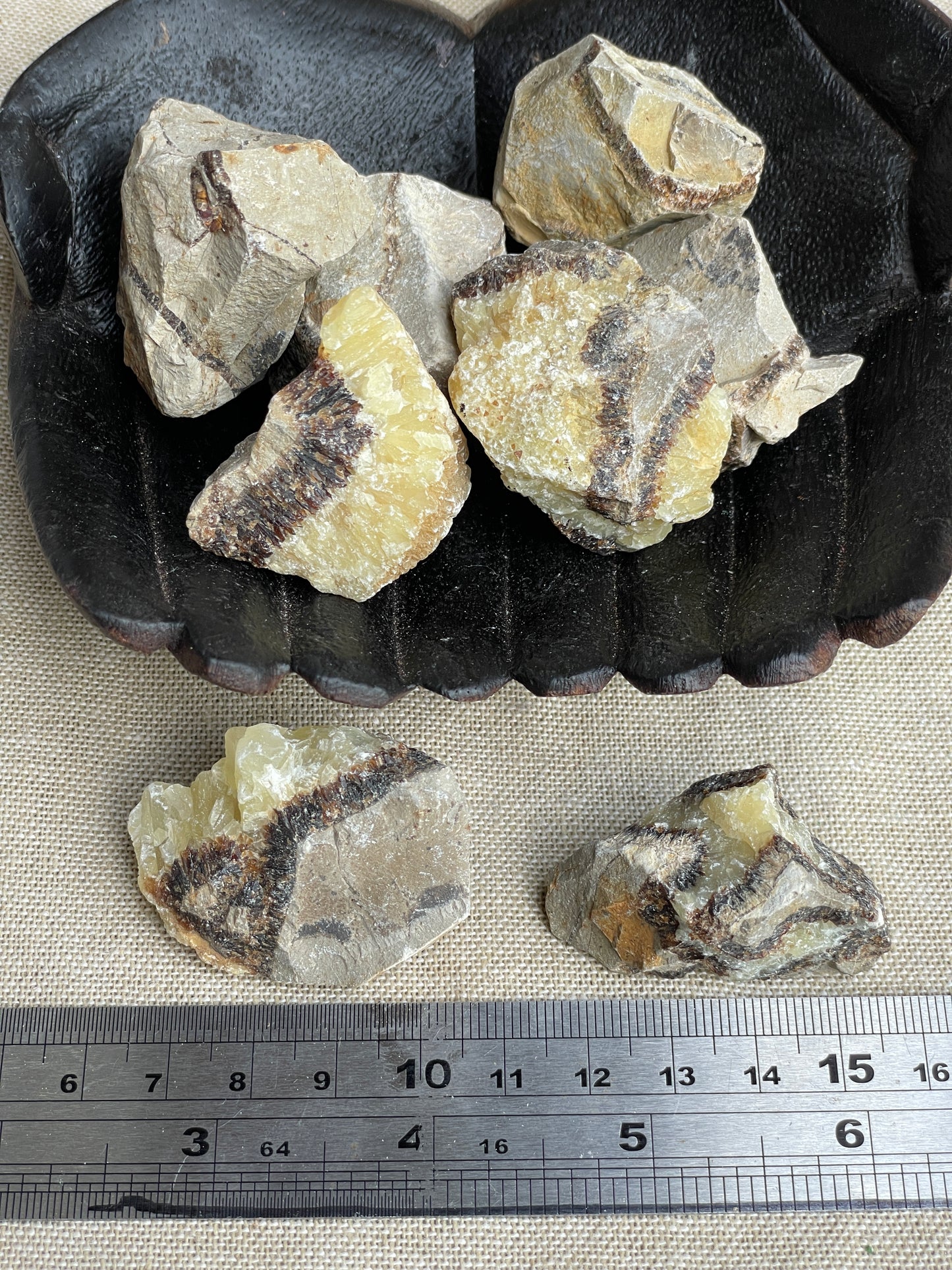 Septarian rough