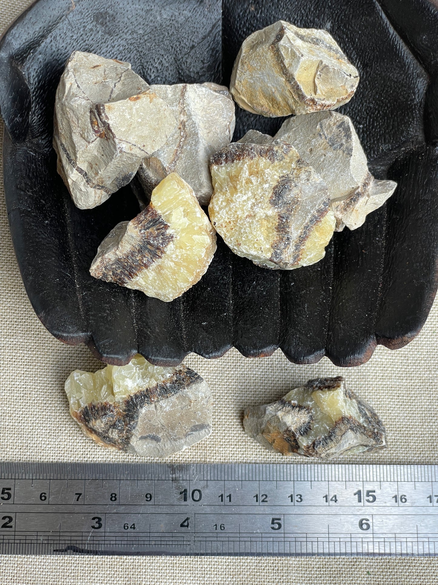 Septarian rough