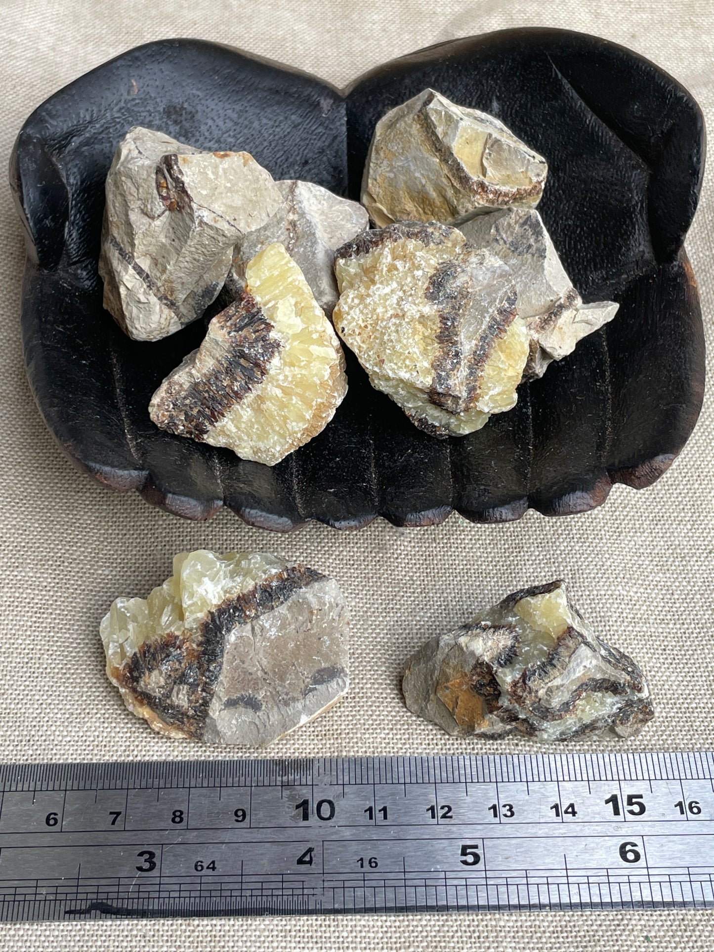 Septarian rough