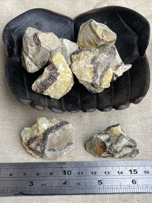 Septarian rough