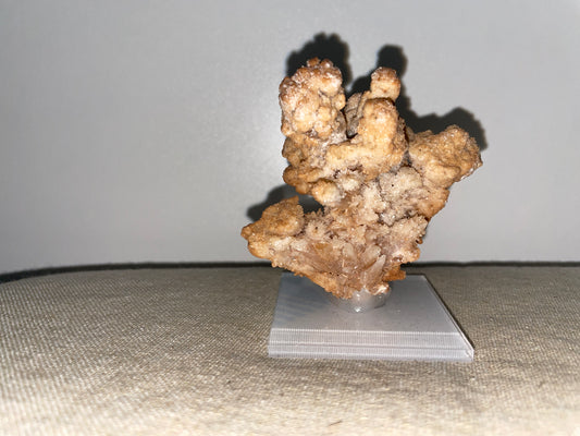 Coral Aragonite mounted