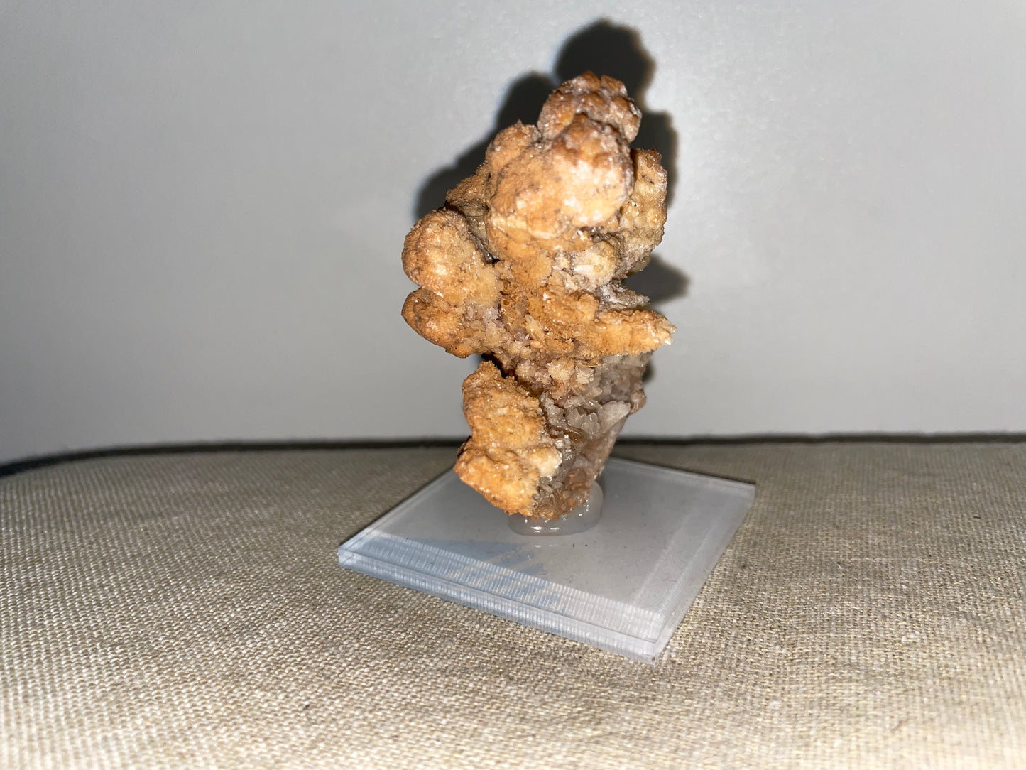 Coral Aragonite mounted