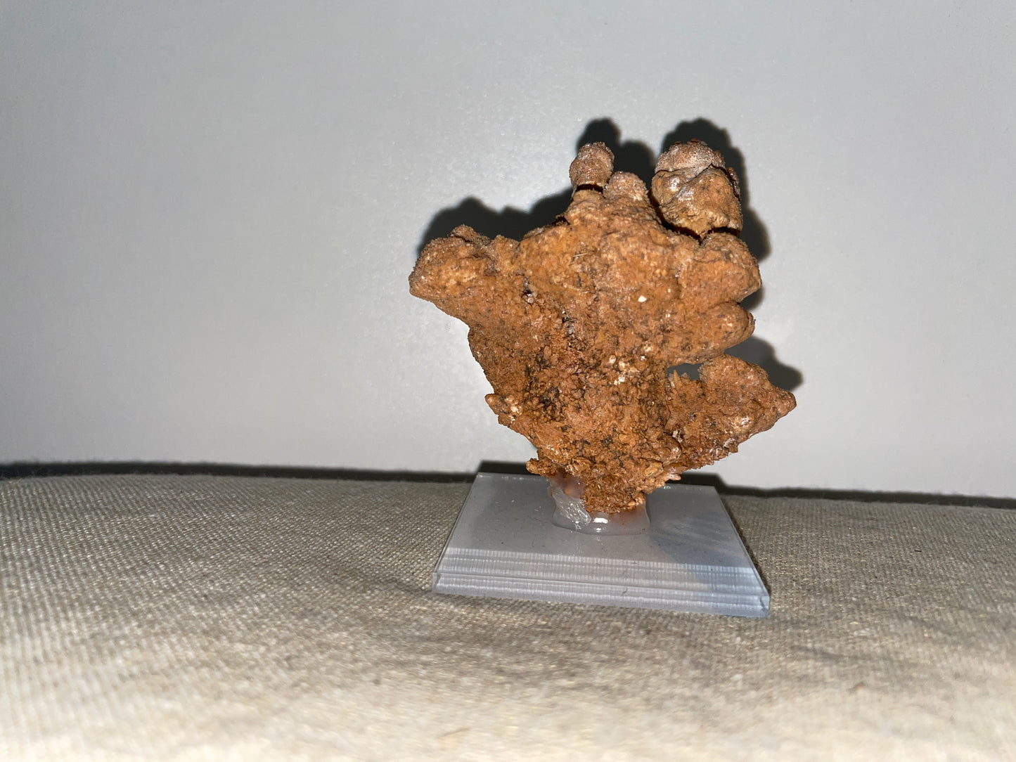 Coral Aragonite mounted