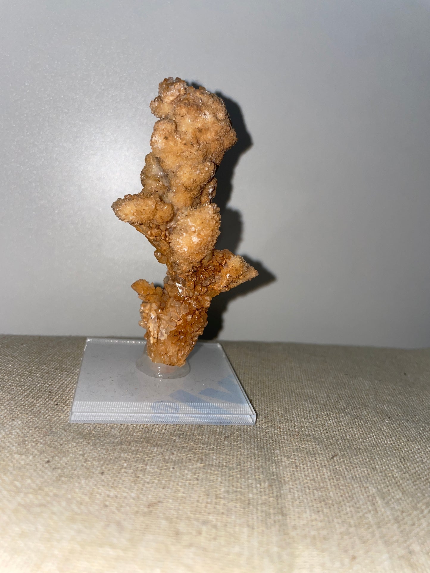 Coral aragonite mounted