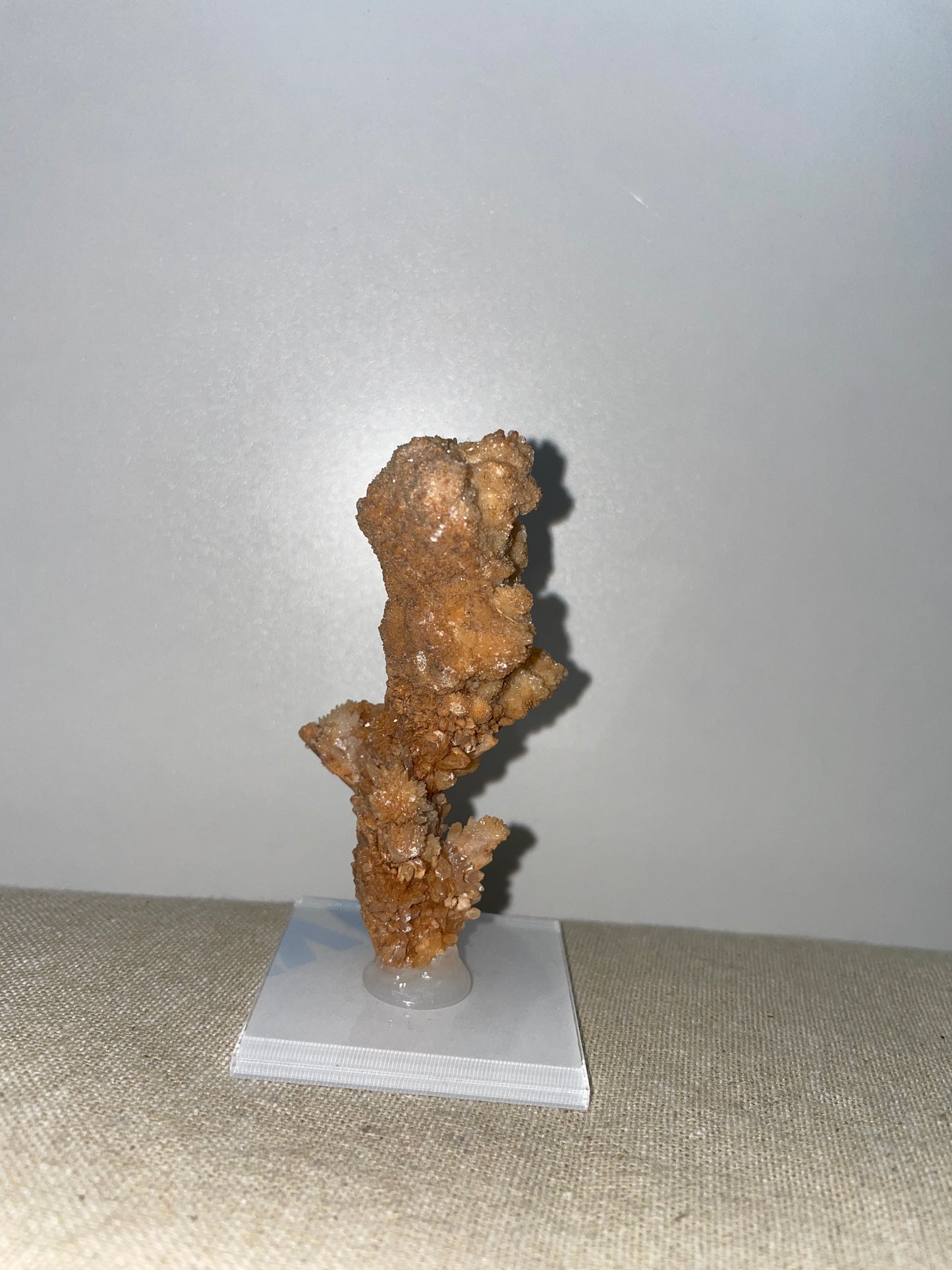 Coral aragonite mounted