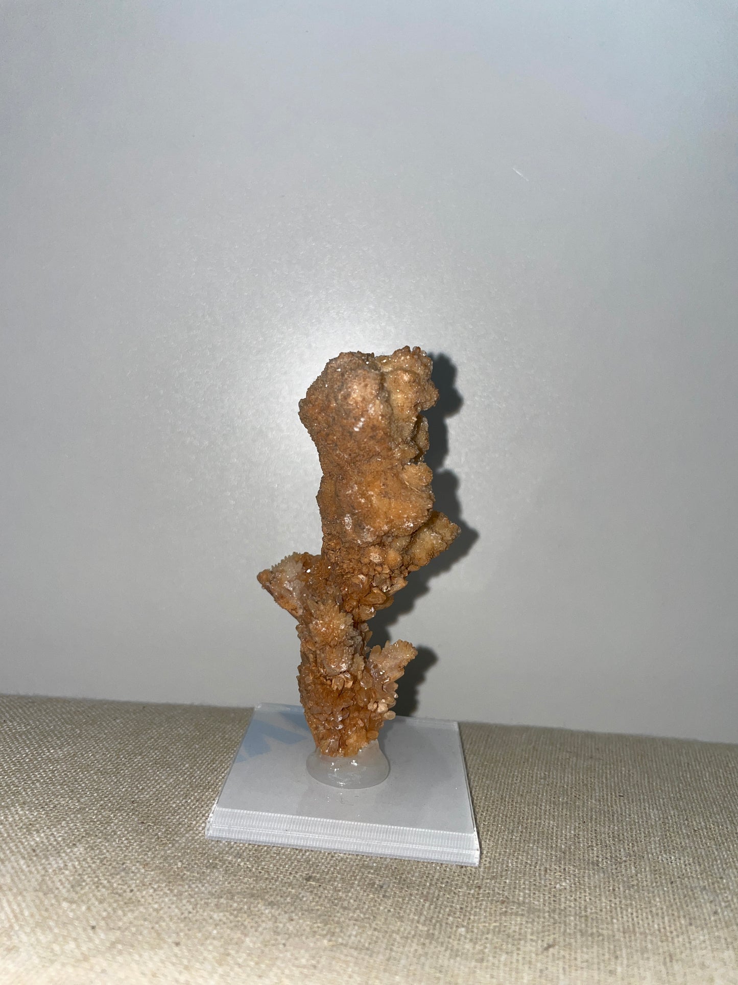 Coral aragonite mounted