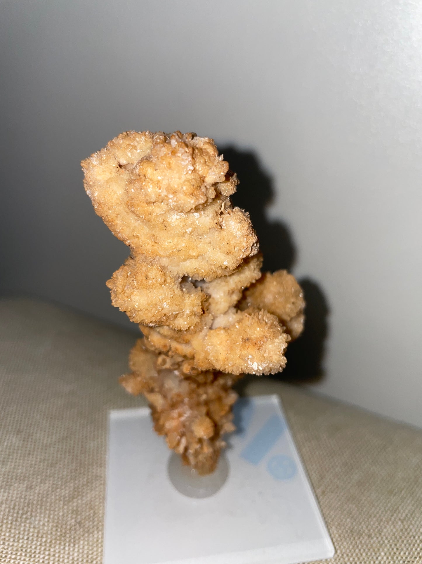 Coral aragonite mounted