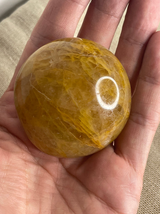 Golden healer palm