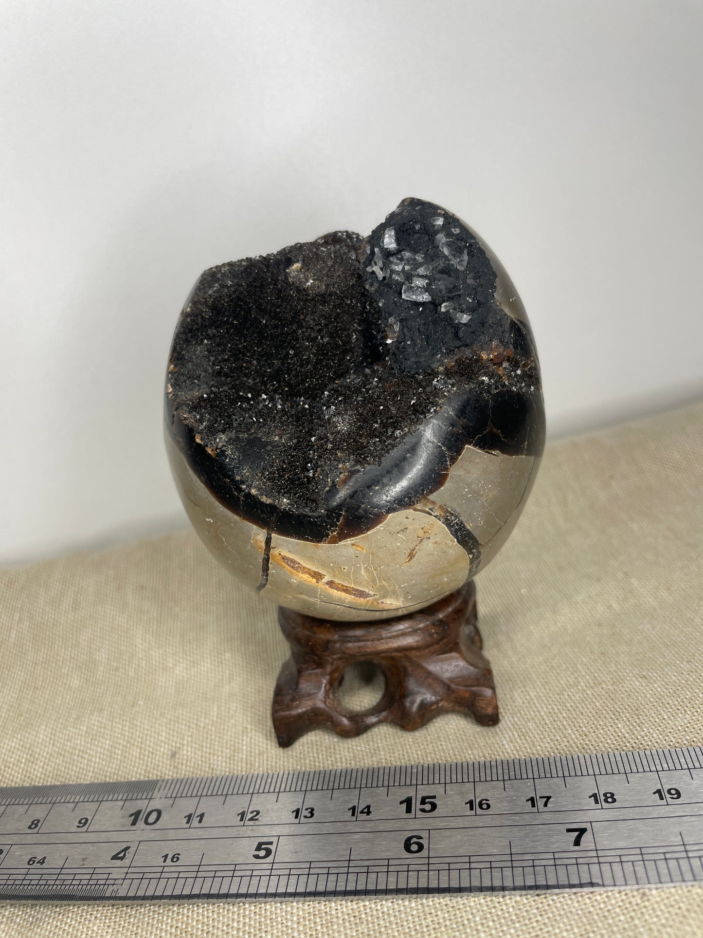 Septarian egg with black calcite