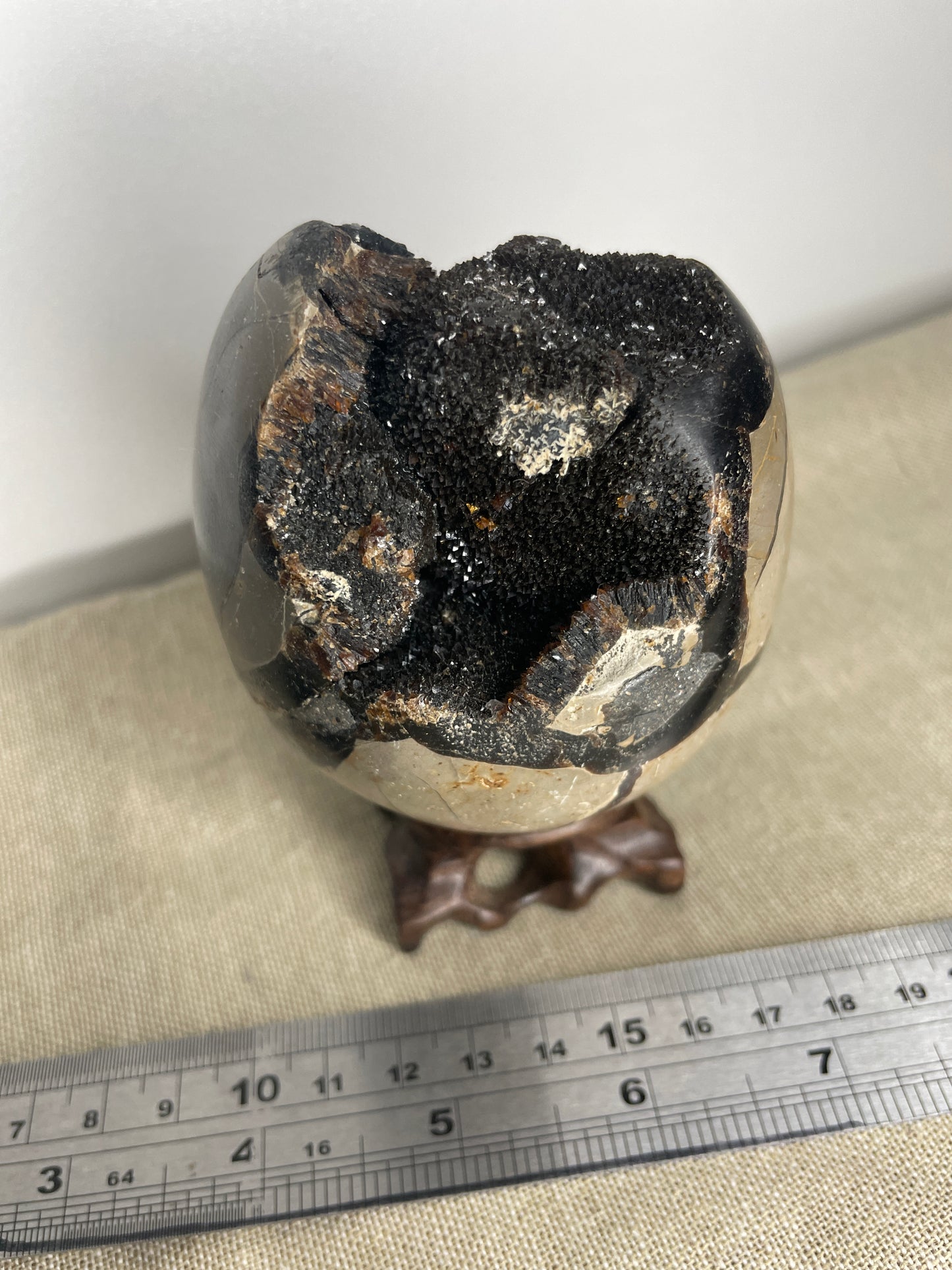 Septarian egg with black calcite