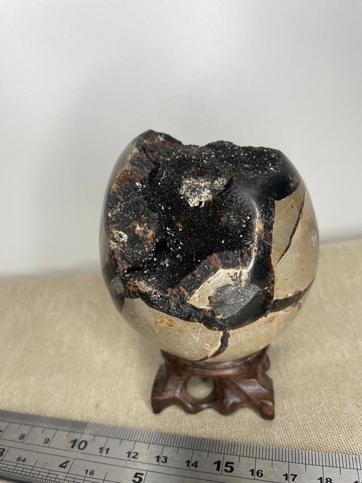 Septarian egg with black calcite