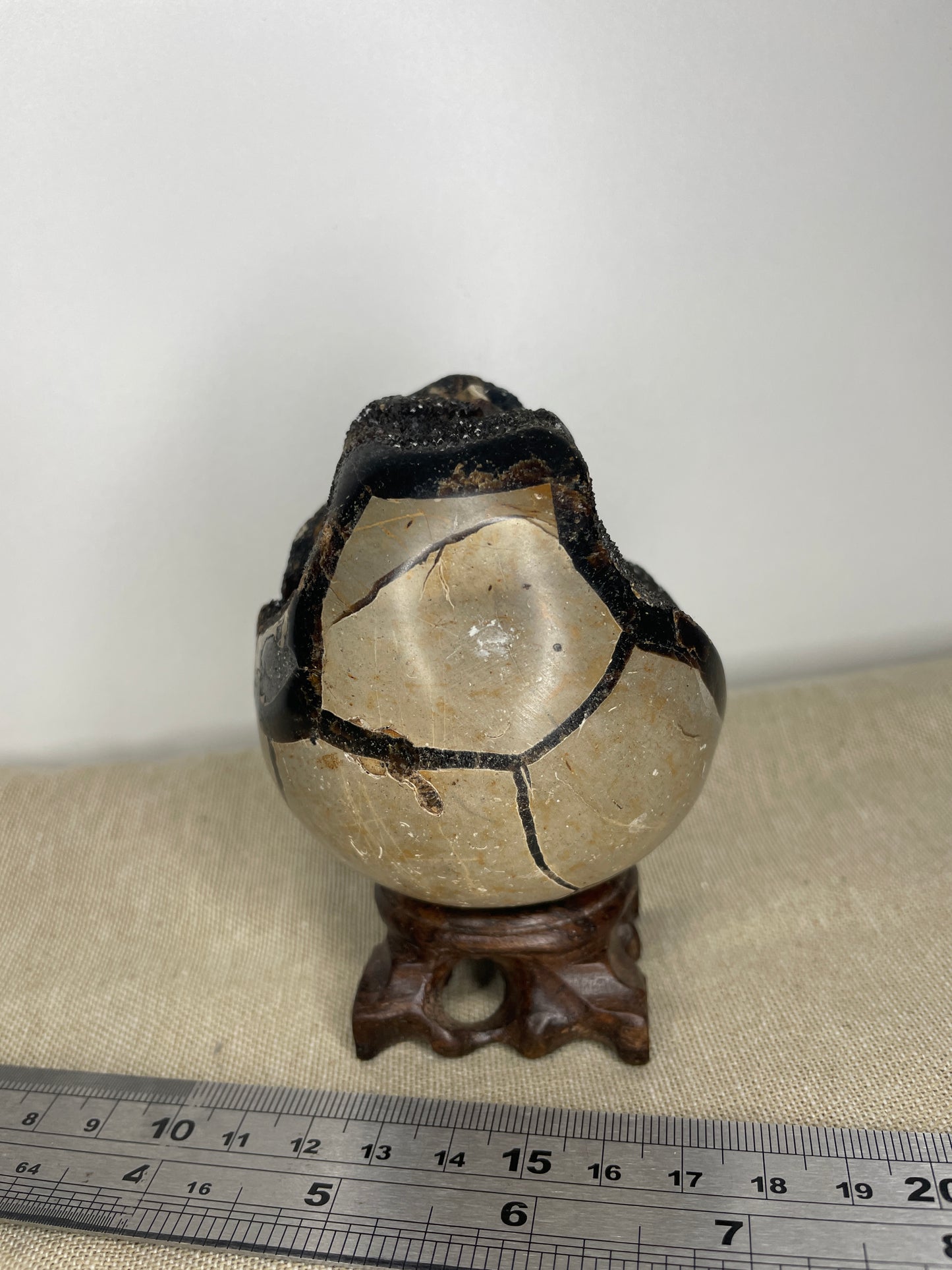Septarian egg with black calcite