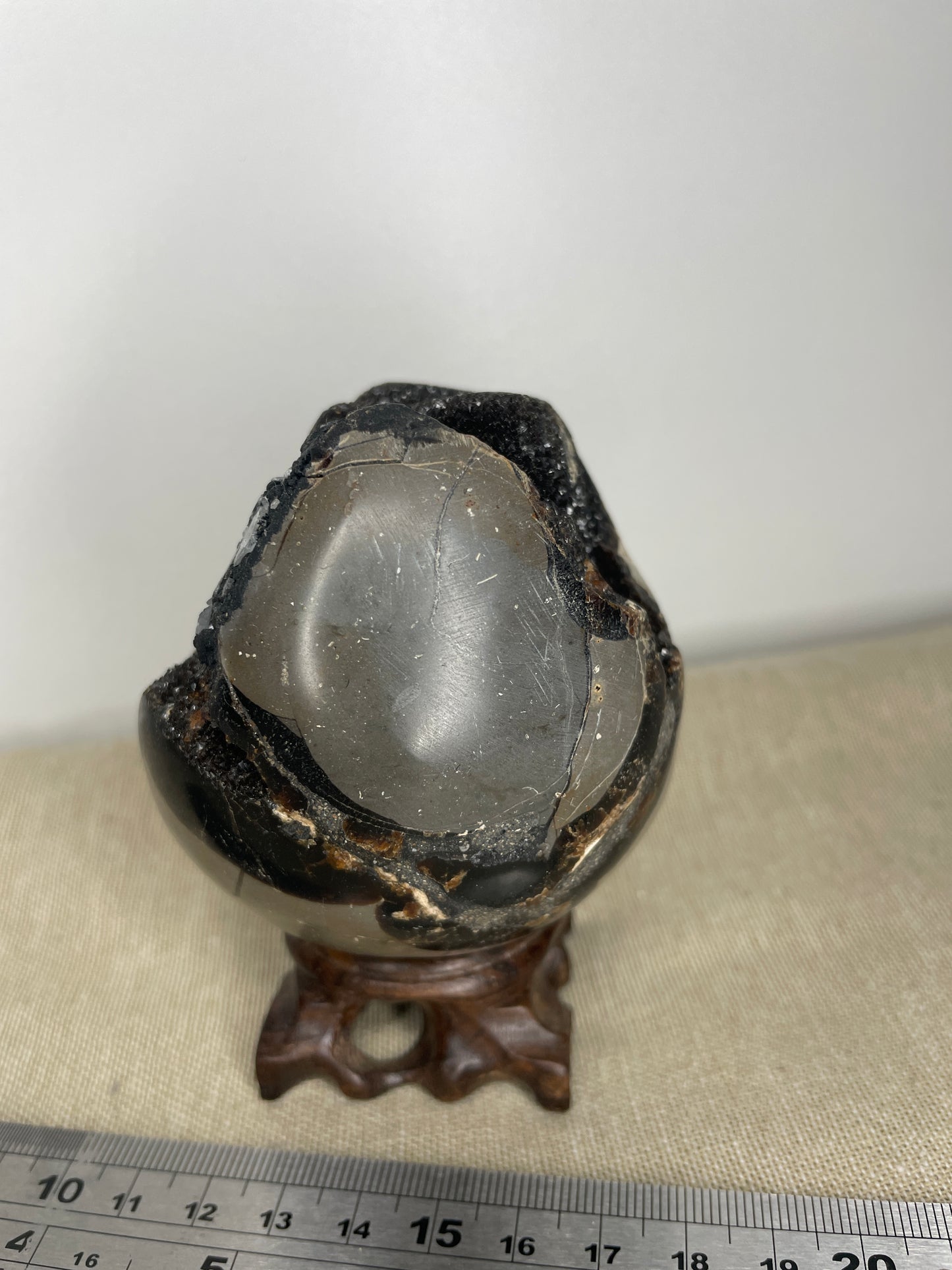 Septarian egg with black calcite