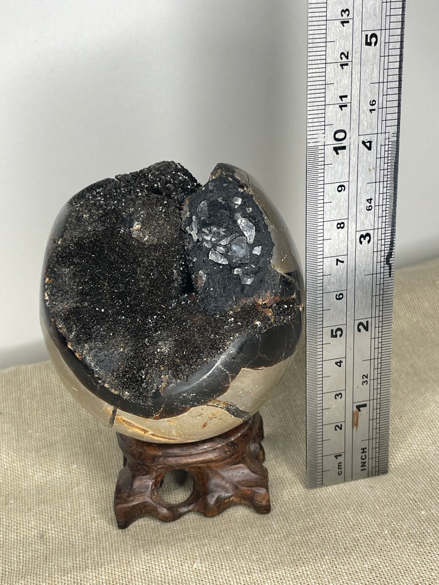 Septarian egg with black calcite