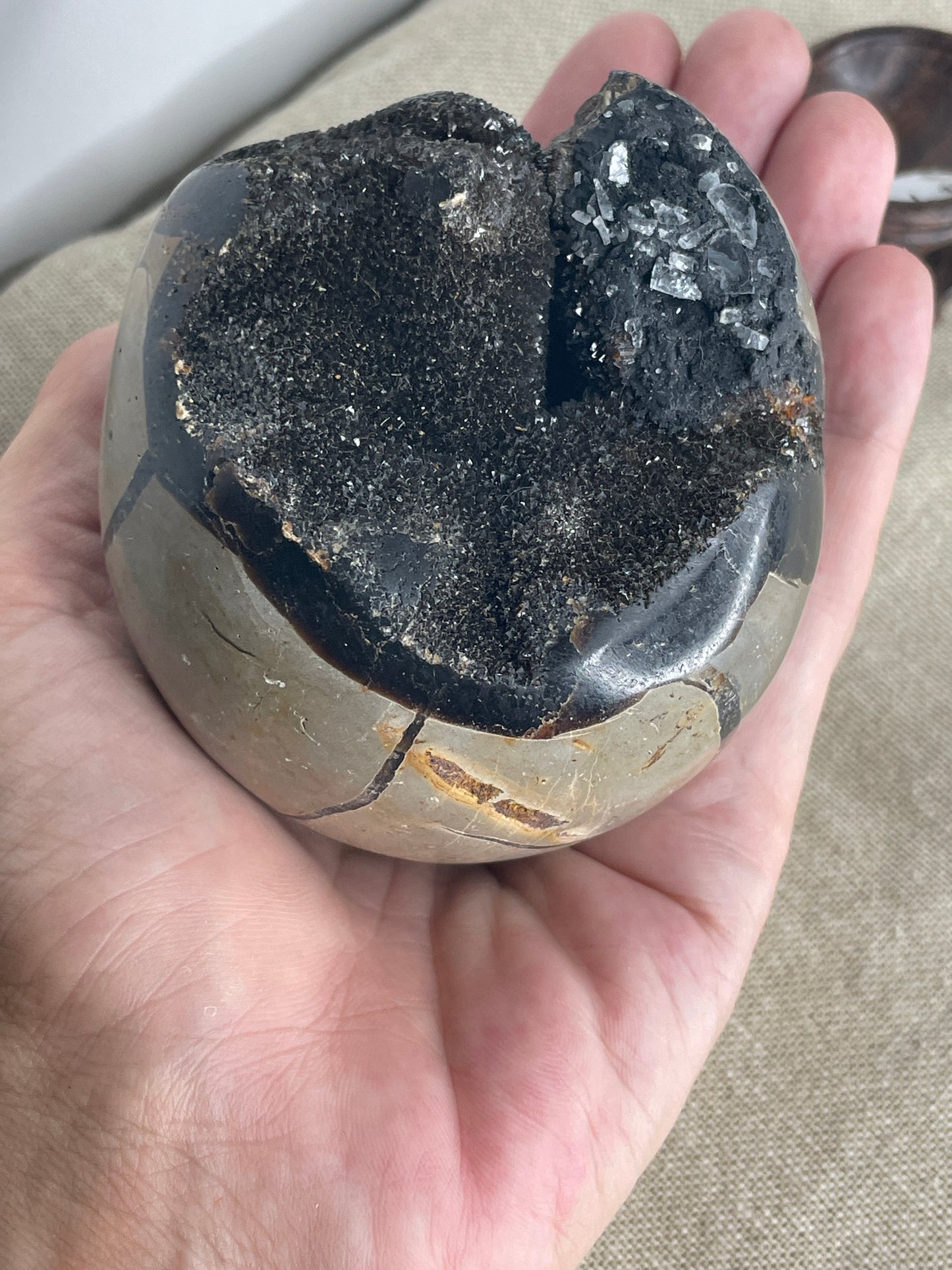 Septarian egg with black calcite