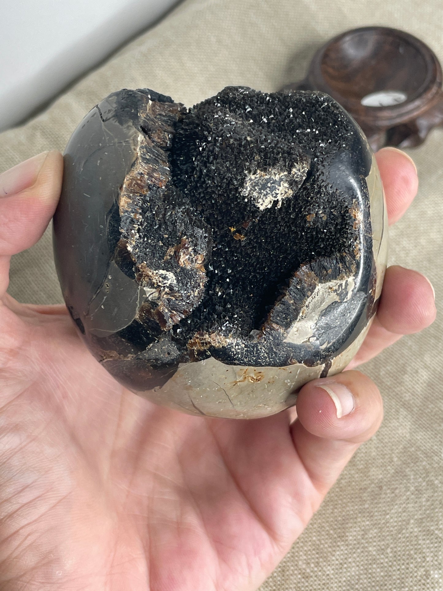 Septarian egg with black calcite