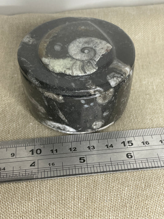Orthoceras goneitite trinket bowl