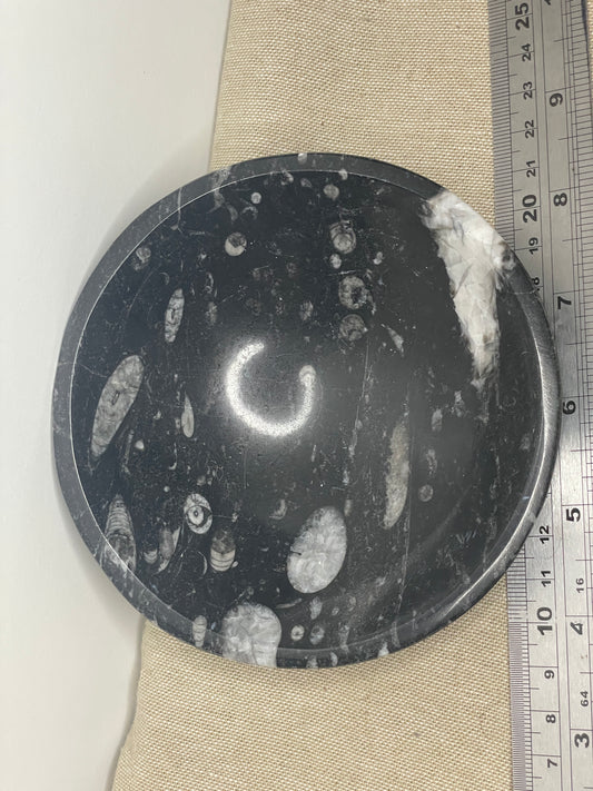 Orthoceras bowl
