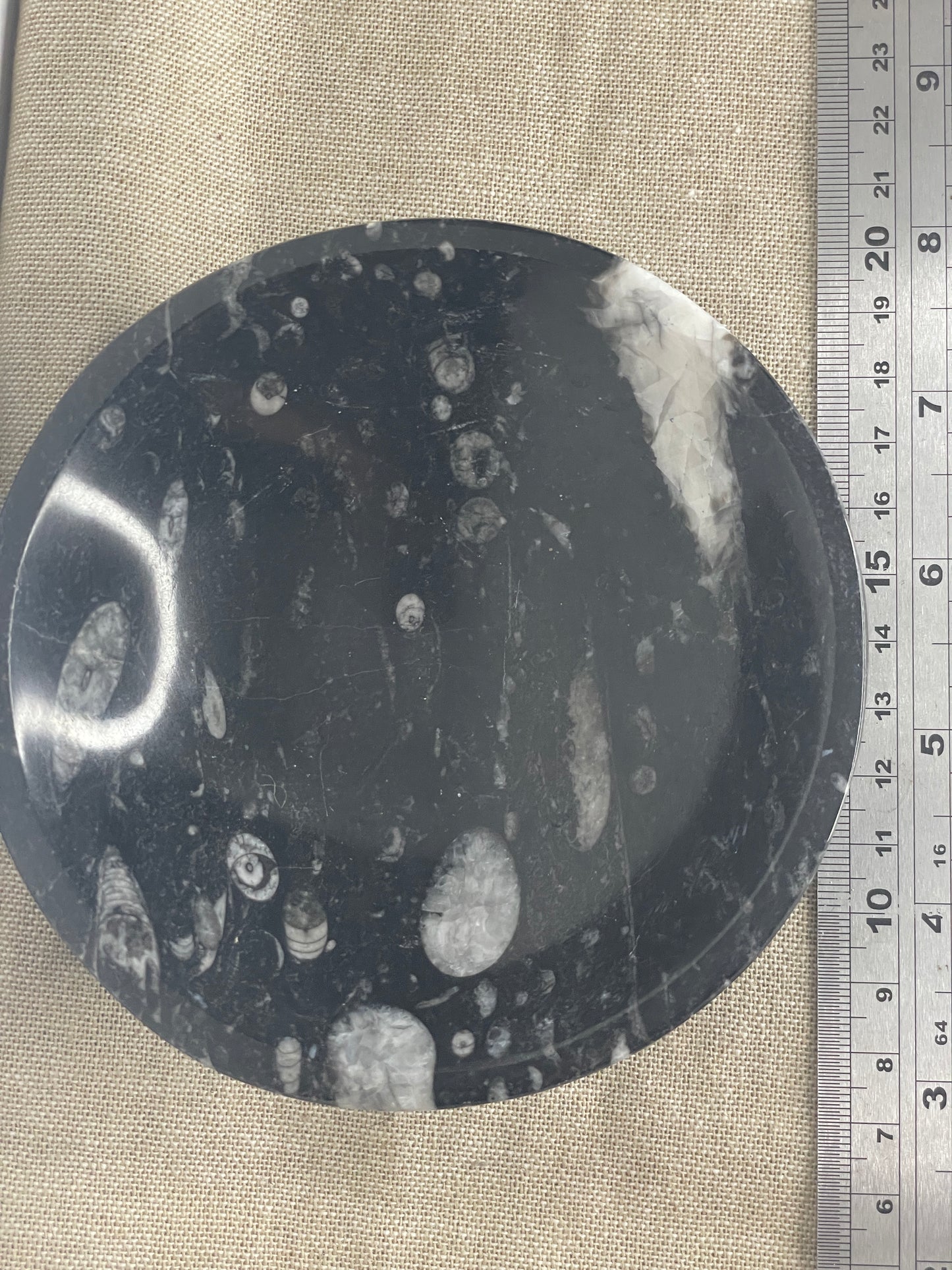 Orthoceras bowl