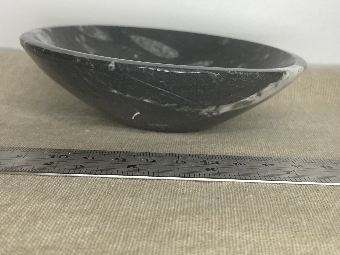 Orthoceras bowl