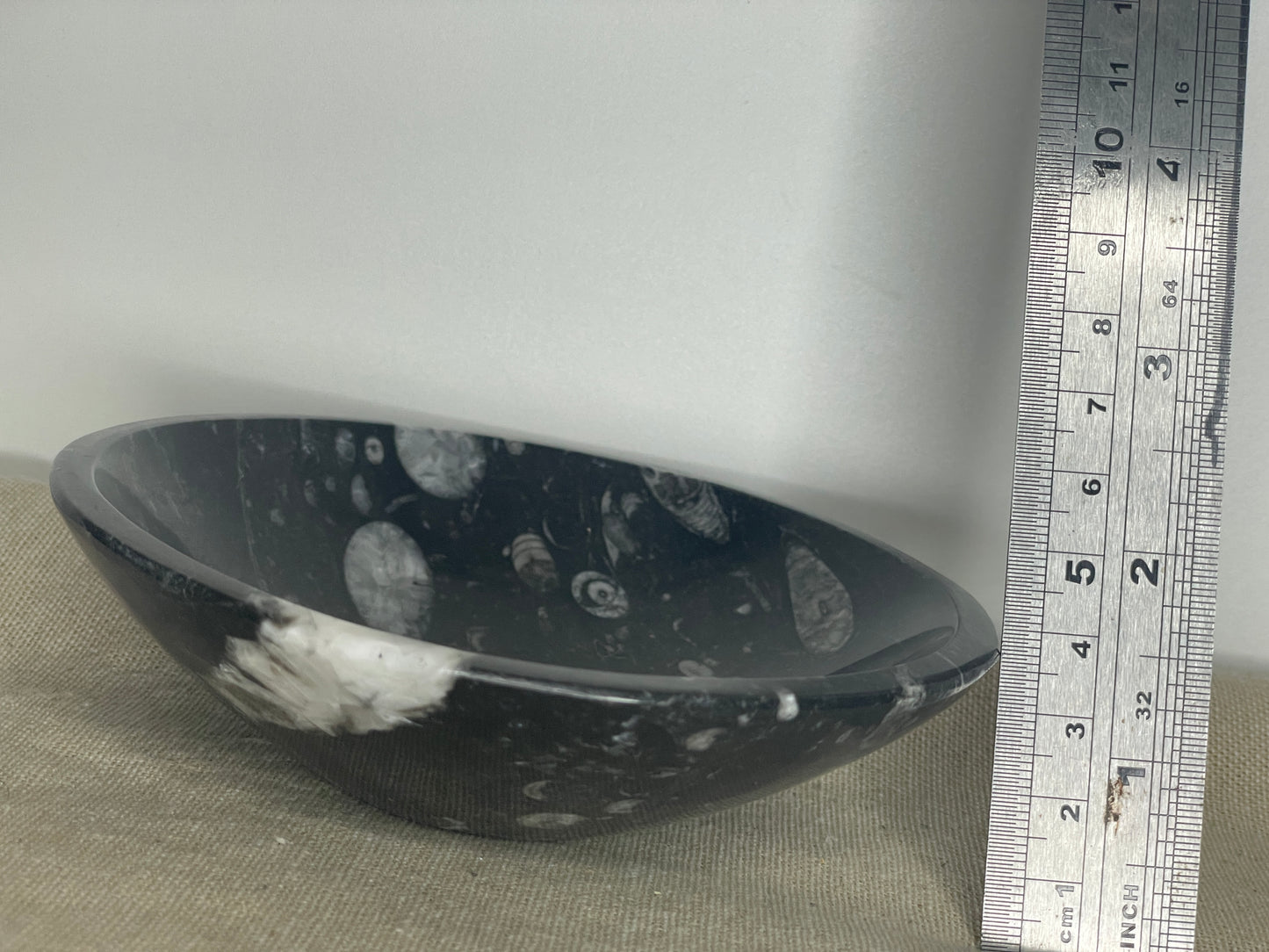 Orthoceras bowl
