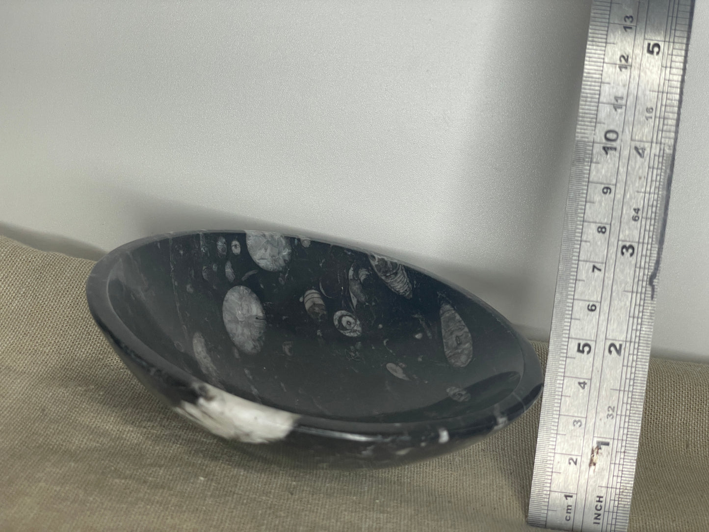 Orthoceras bowl