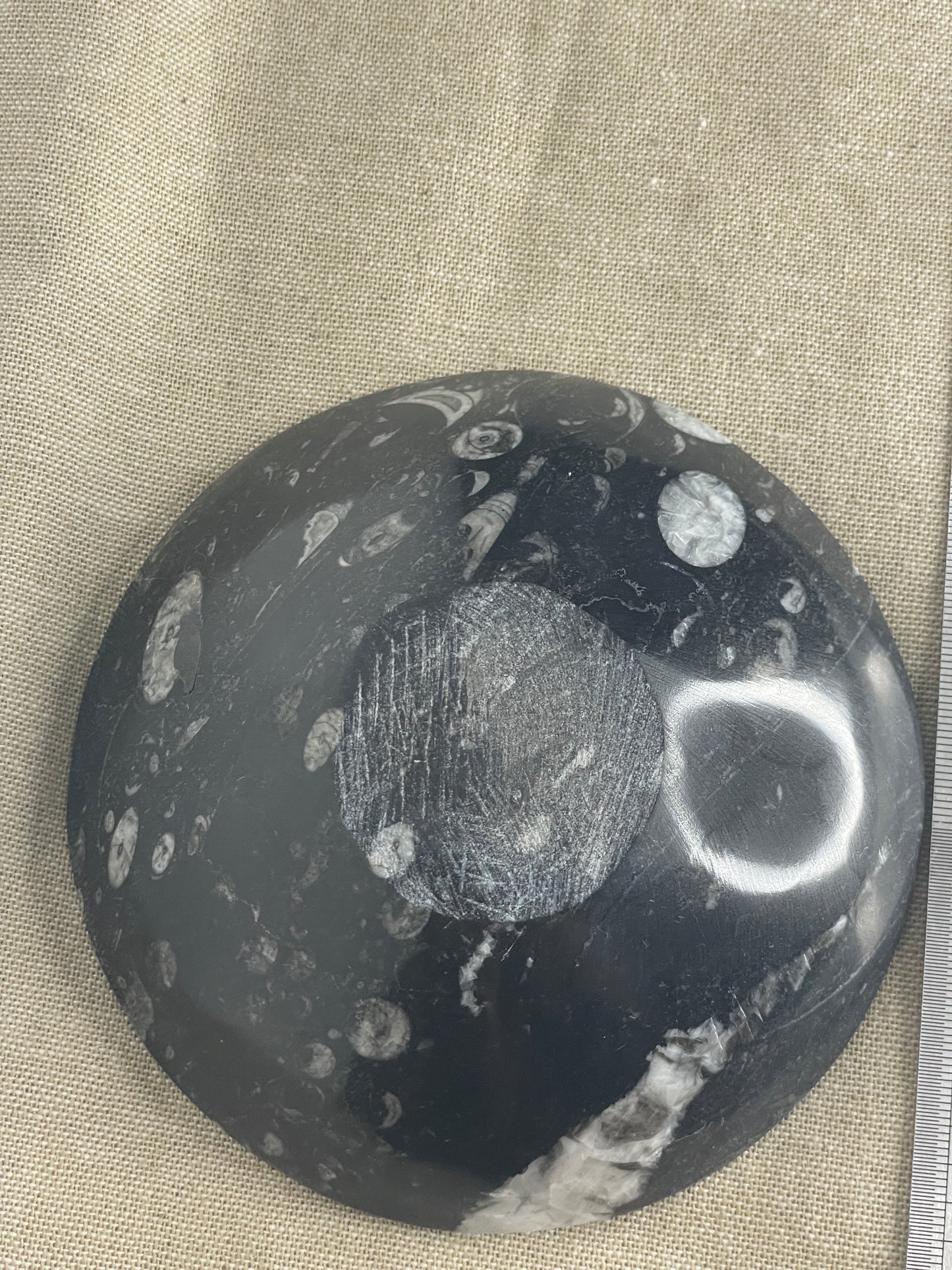 Orthoceras bowl