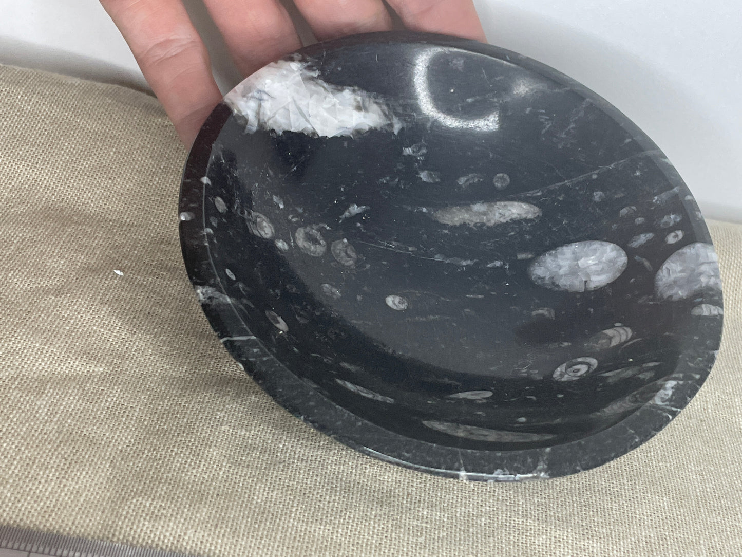 Orthoceras bowl