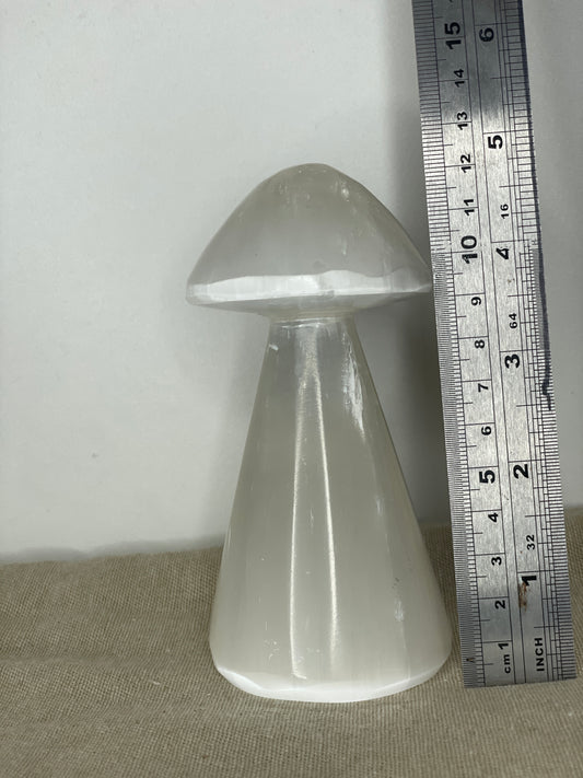 Selenite mushroom