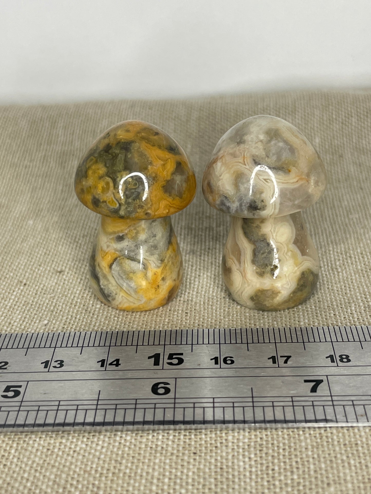 Crazy lace agate
