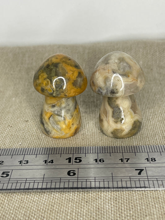 Crazy lace agate