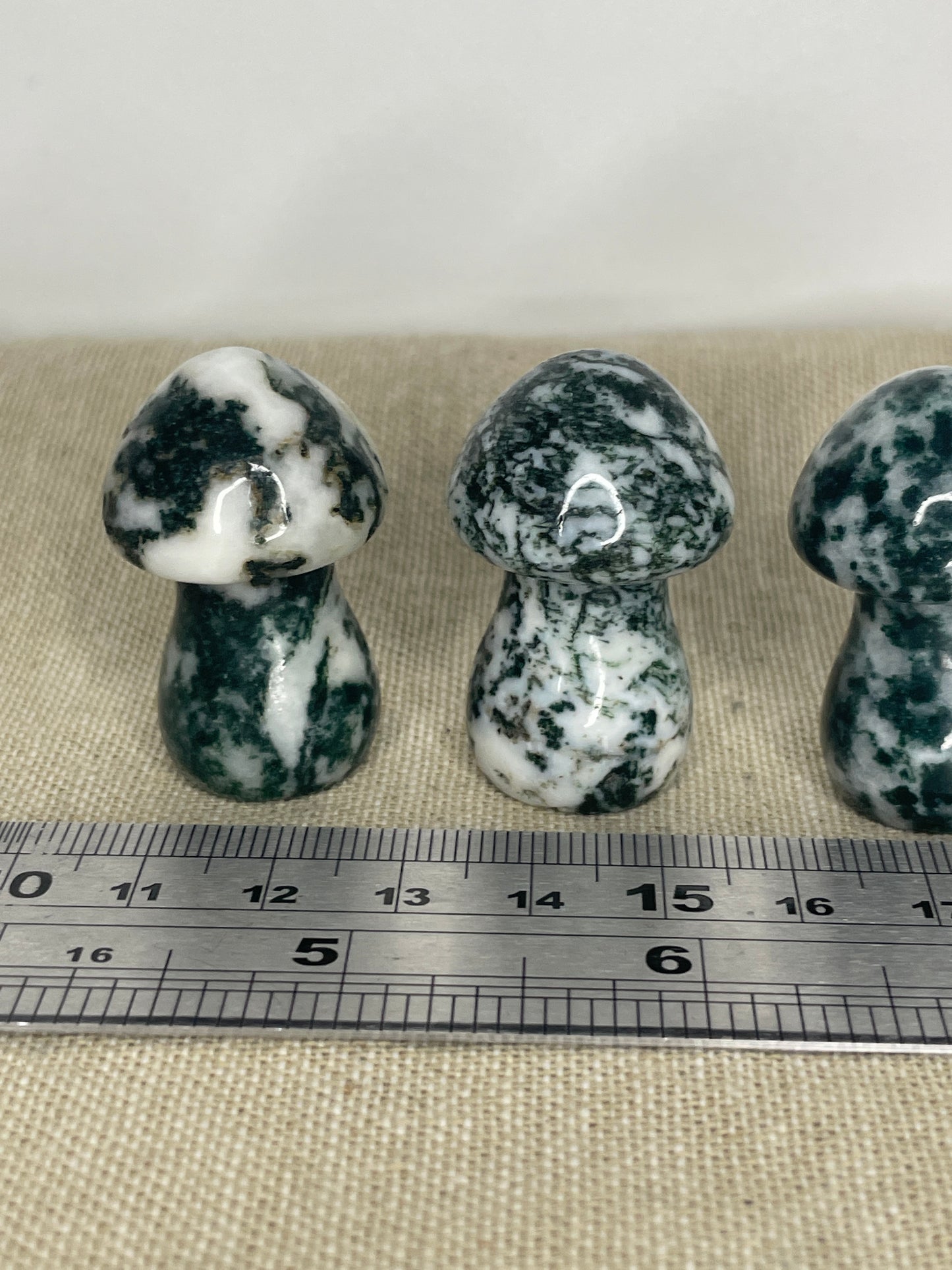 Moss agate mushrooms