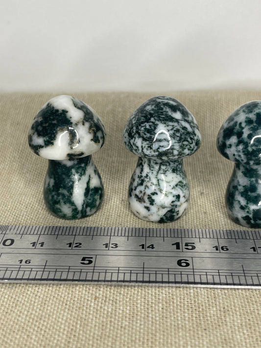 Moss agate mushrooms