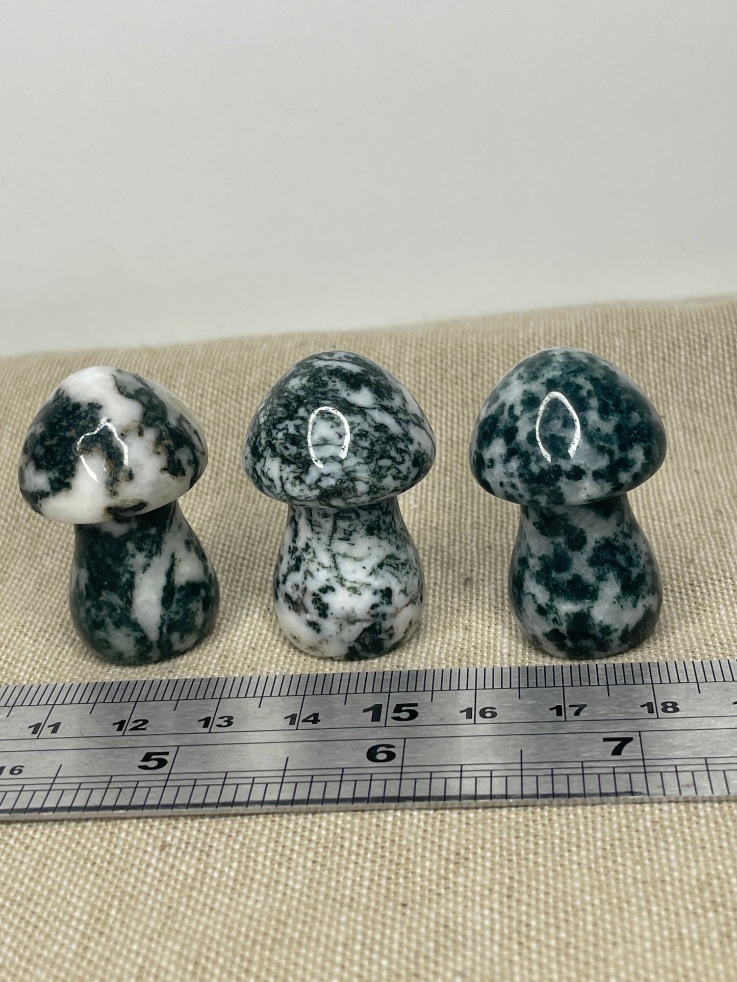 Moss agate mushrooms