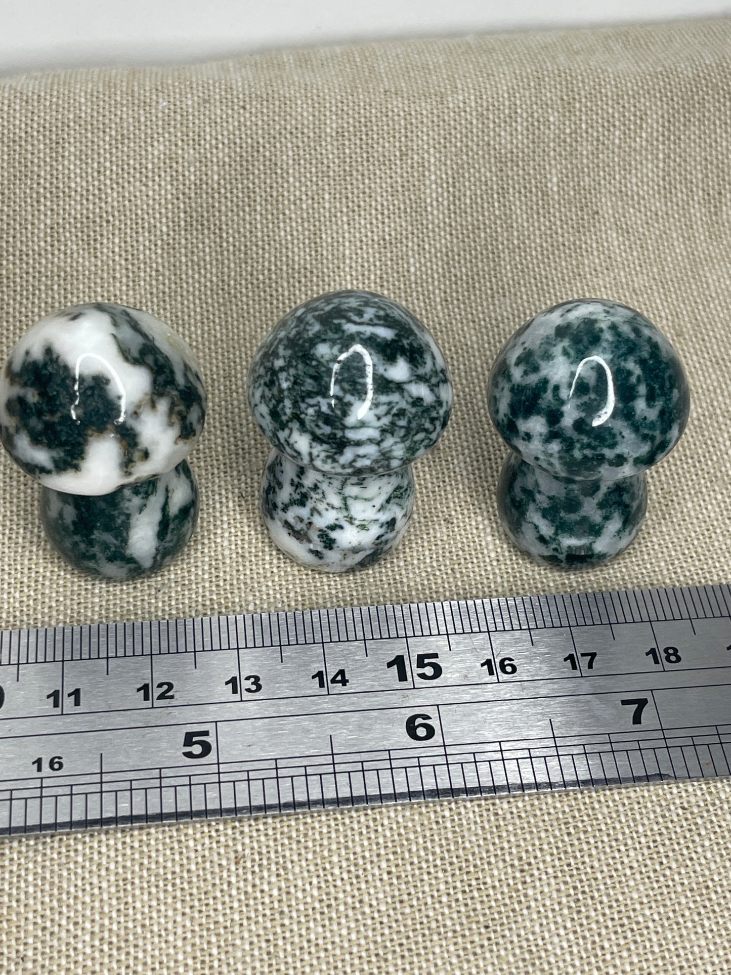 Moss agate mushrooms
