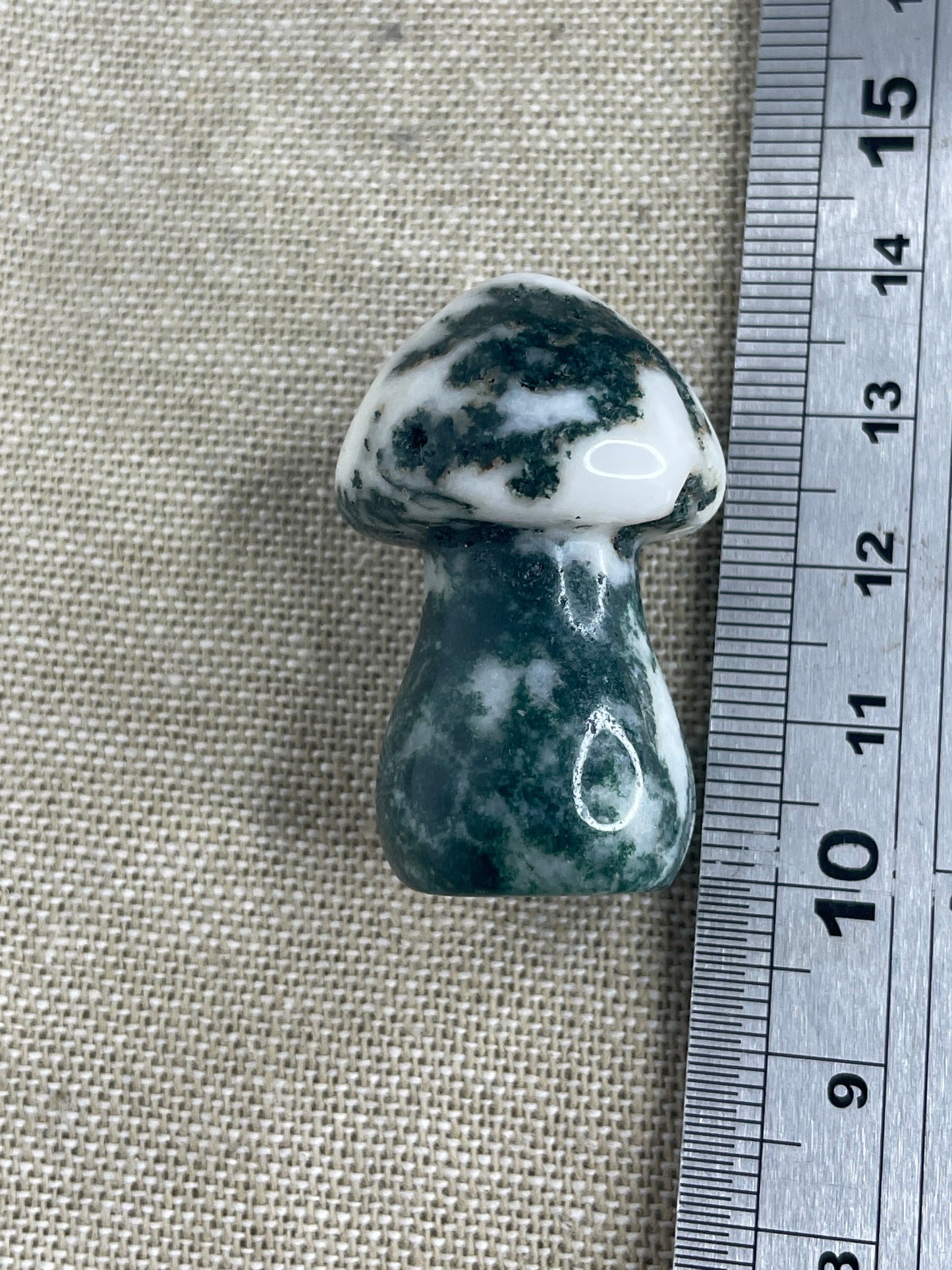 Moss agate mushrooms