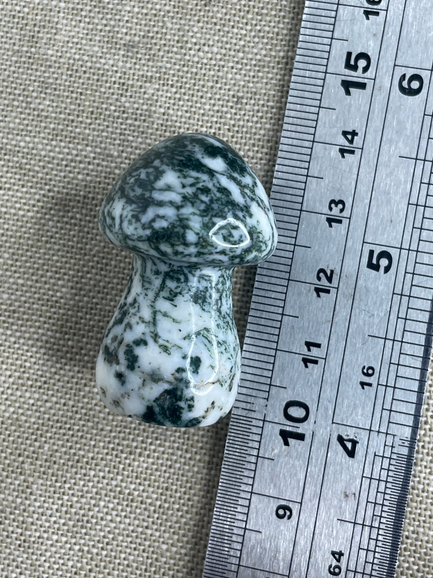 Moss agate mushrooms