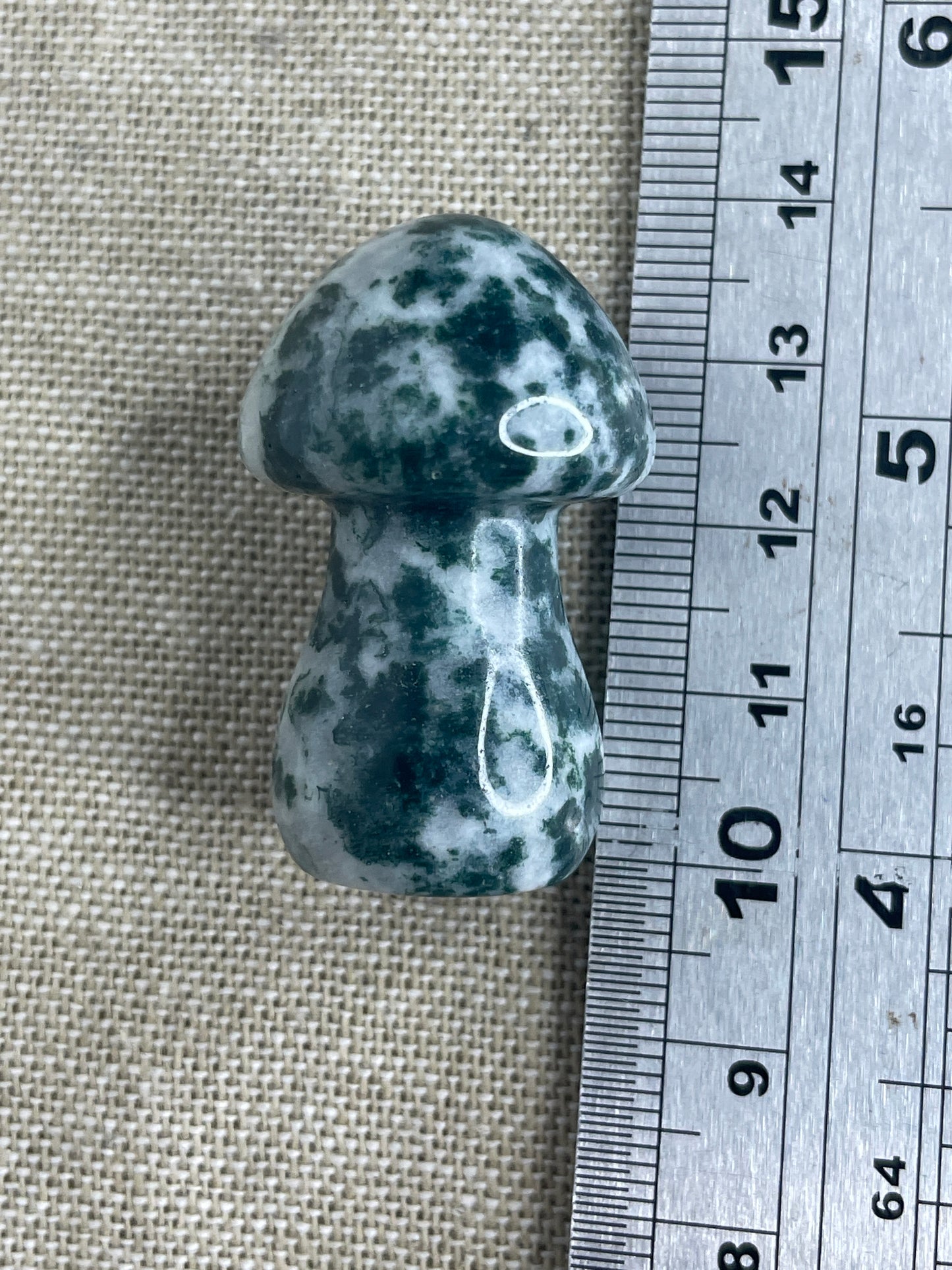 Moss agate mushrooms