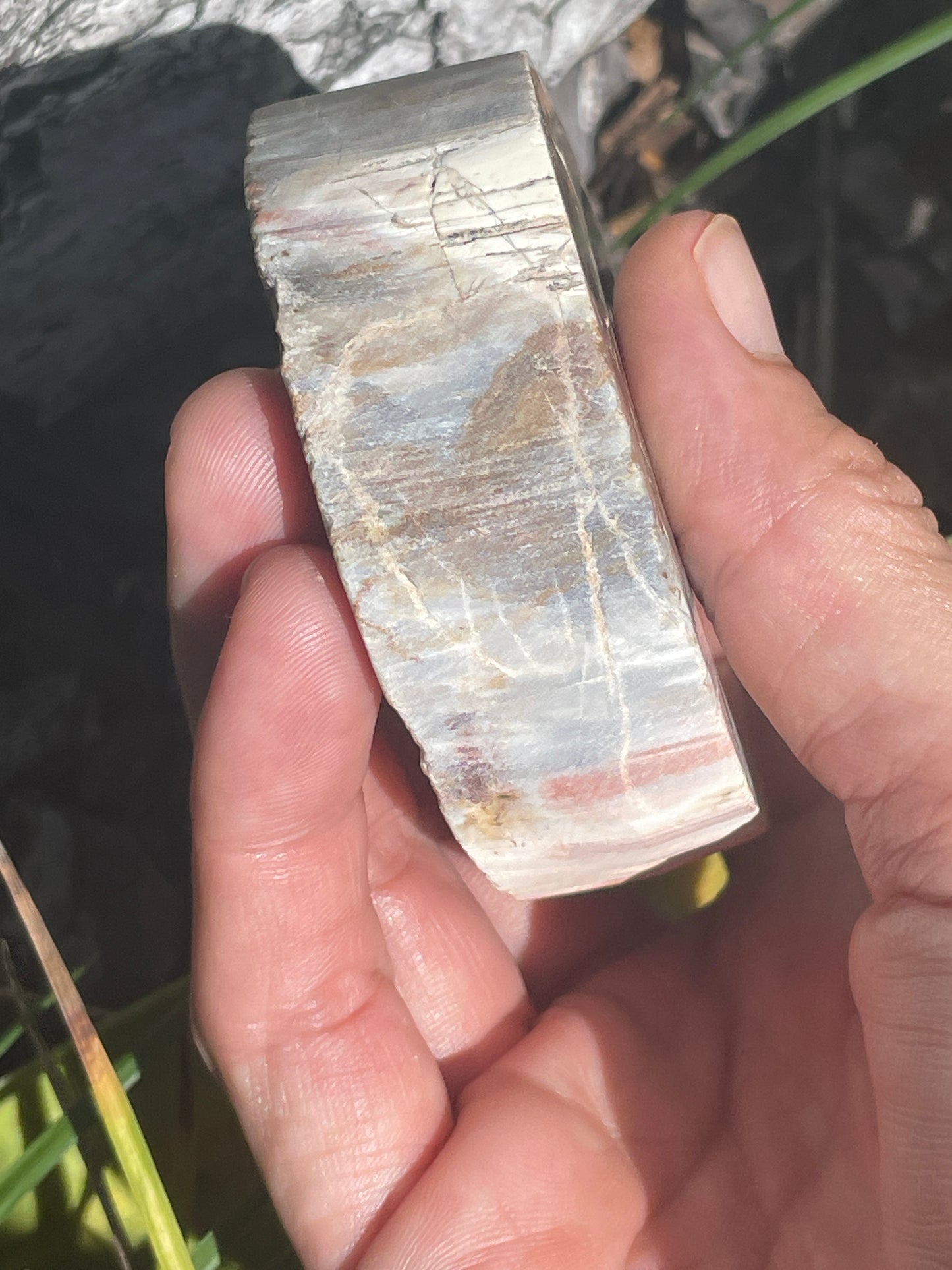 thick petrified wood slab