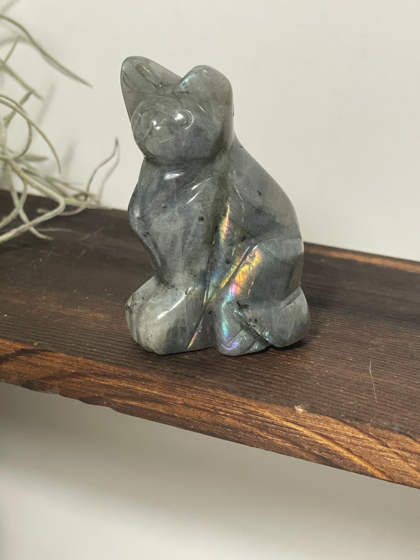Labradorite cat carving