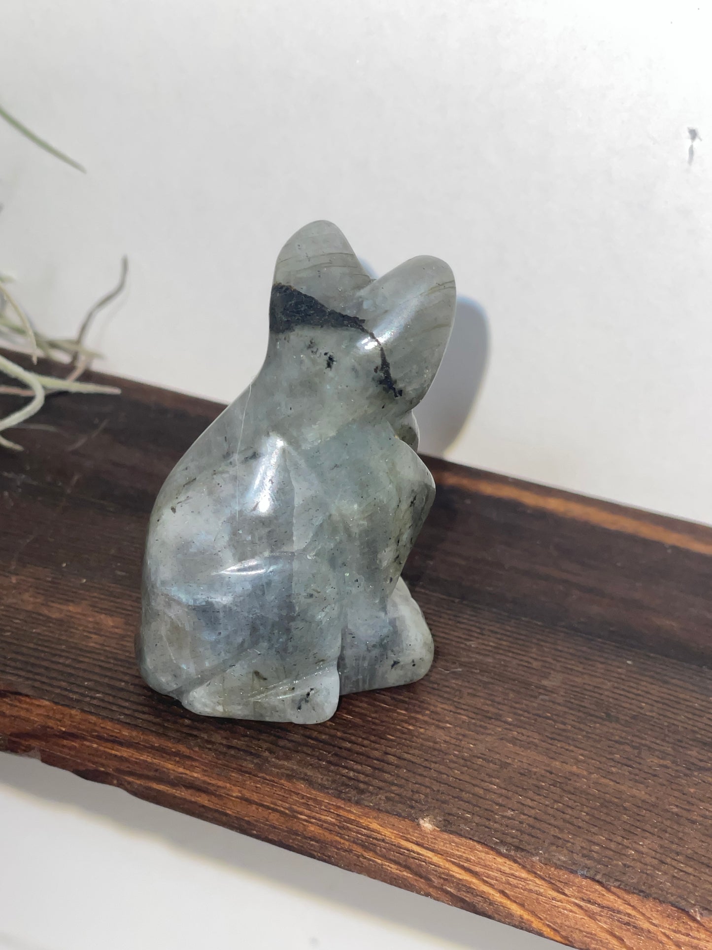 Labradorite cat carving