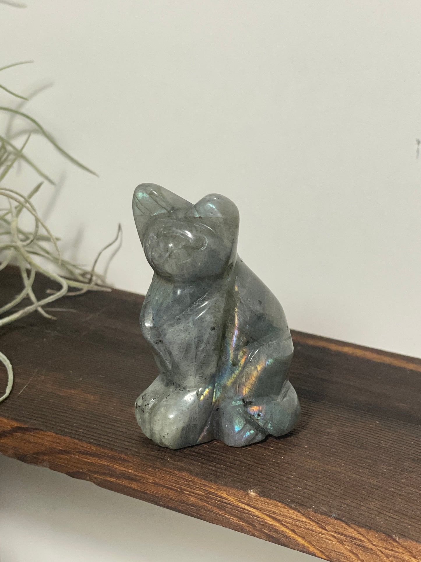 Labradorite cat carving