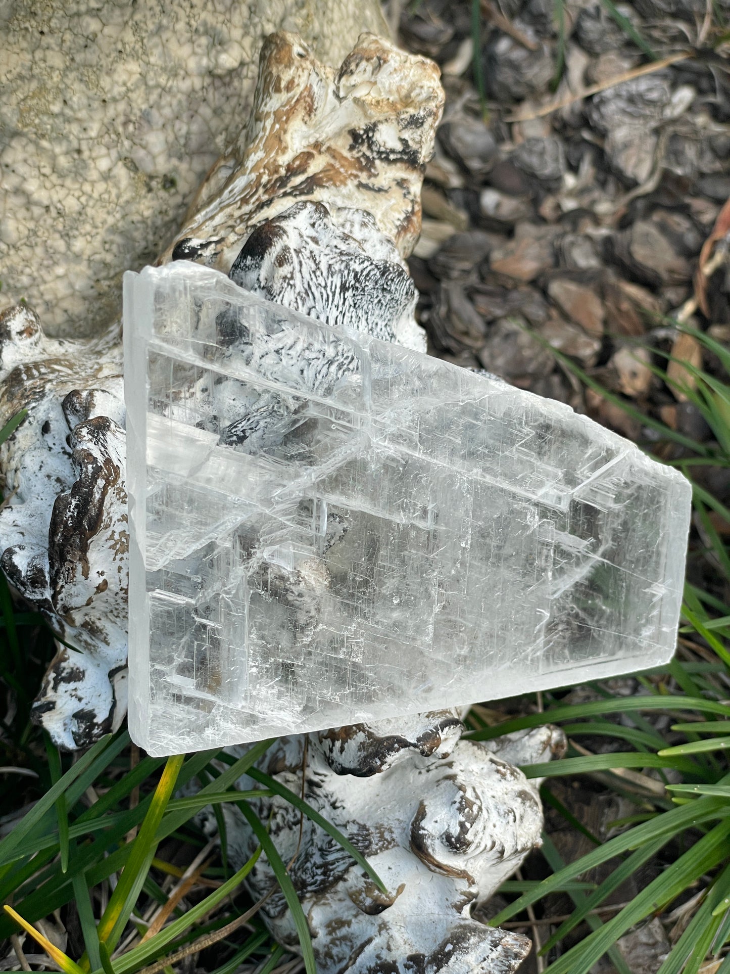 Real selenite slab