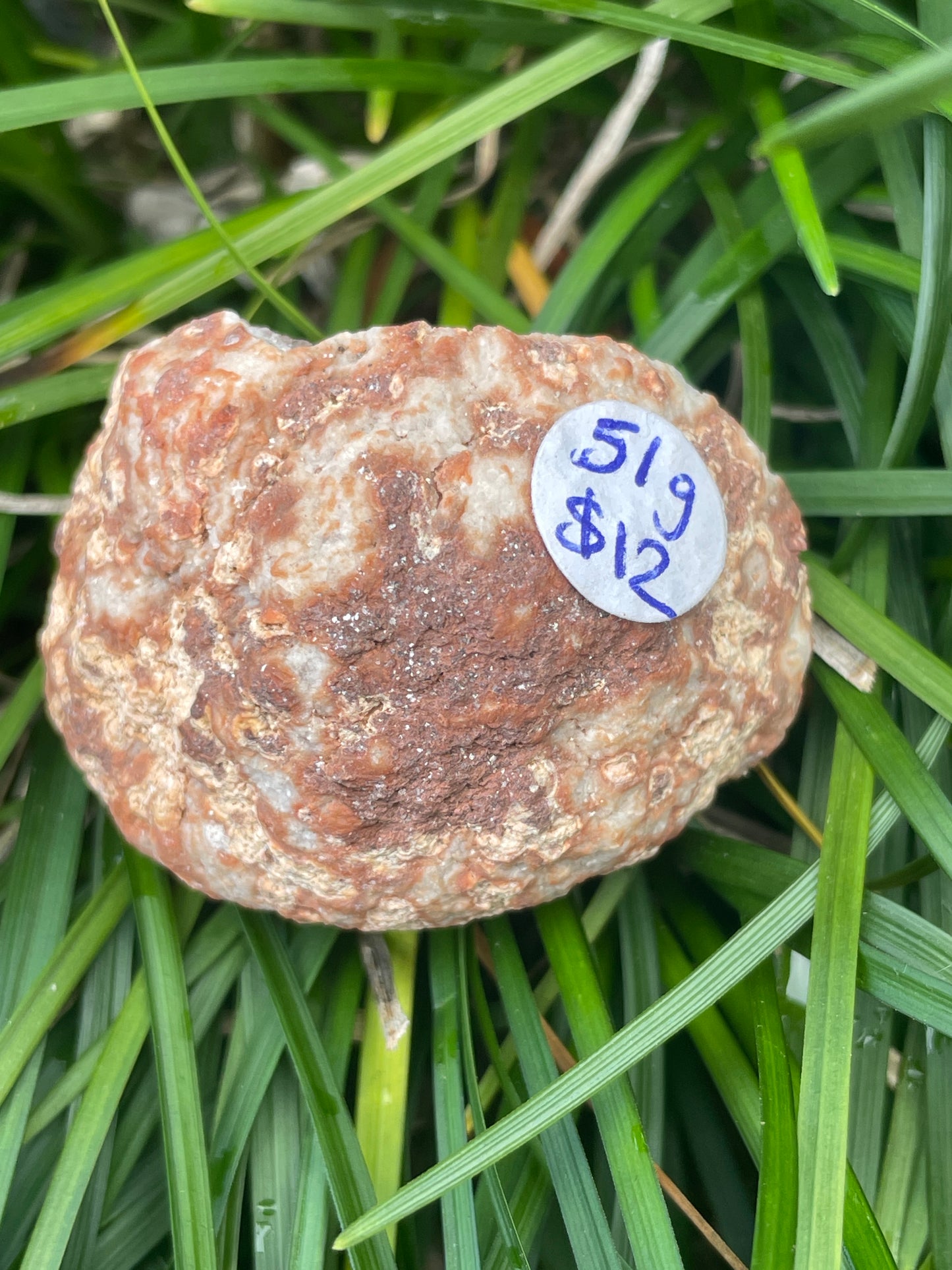 Pink amethyst geode half