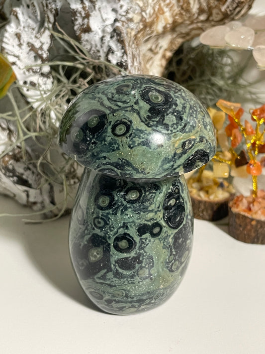 Kambaba Jasper mushroom